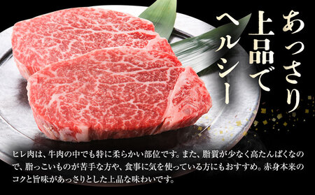 旭志牛 ヒレブロック 600g 有限会社旭志村ふれあいセンター 《90日以内に出荷予定(土日祝除く)》 お肉 牛肉 ヒレ ステーキ ブロック 菊池ブランド牛 冷凍 送料無料