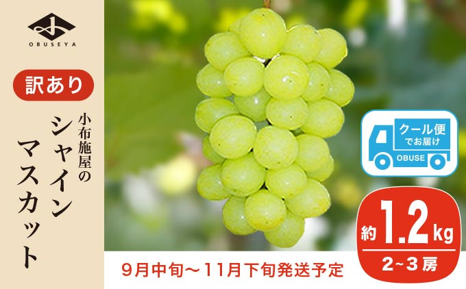 
            【訳あり】シャインマスカット 約1.2kg 2～3房 ［小布施屋］数量限定 期間限定 家庭用 規格外 不揃い 傷 果物 フルーツ ぶどう 葡萄 ブドウ クール便 冷蔵便 生産者応援・支援品 長野県産 信州産 令和7年産 【2025年9月中旬～11月下旬発送】 ［A-228］
          