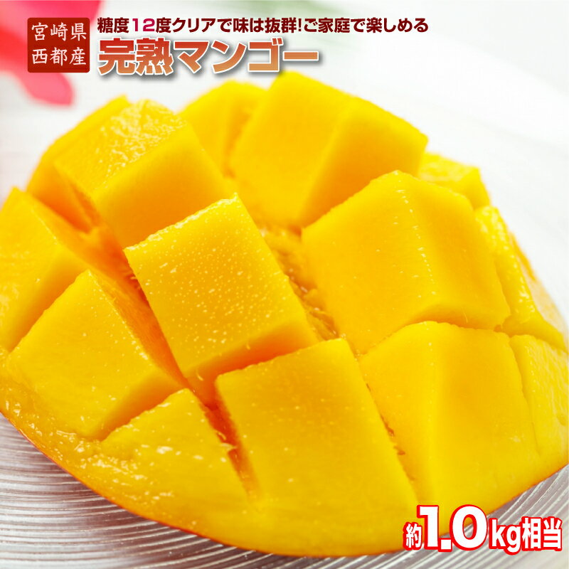 『訳あり』完熟マンゴー 約1kg（JA西都）宮崎県 西都市産 ふるさと納税 ご家庭用 宮崎マンゴー