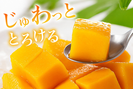【2024年発送】かねよしマンゴーの甘くとろけるマンゴー2kg(贈答用)