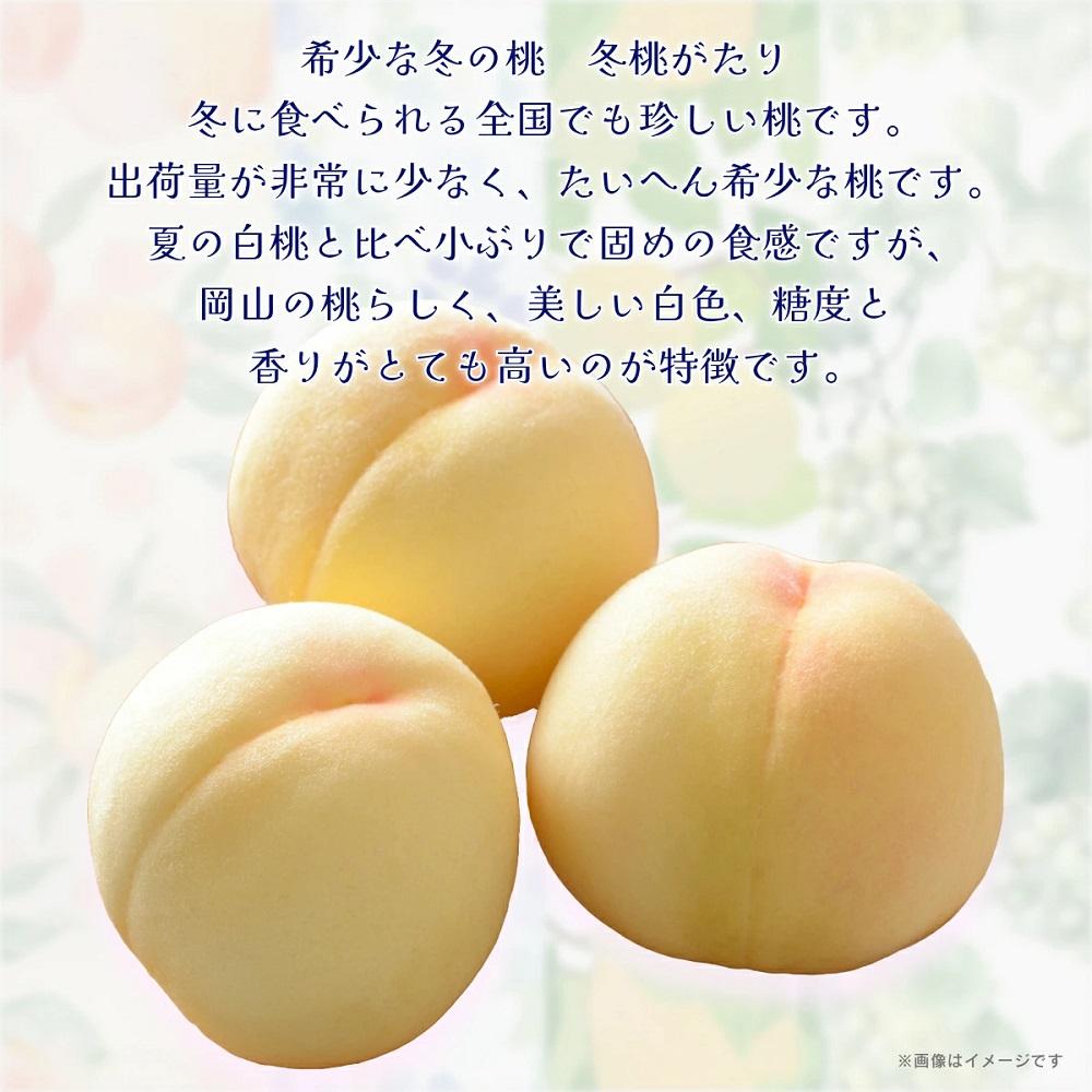 岡山冬桃がたり6～9玉（計約1.3ｋｇ）化粧箱入