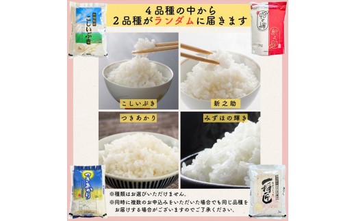 令和8年産 新潟県上越市産米 食べ比べ 9kg 【コシヒカリ 5kgと2kg×2品種】 新之助 こしいぶき つきあかり みずほの輝き ランダム おまかせ セット 【8月下旬発送】 新米 精米 米ヴィレ