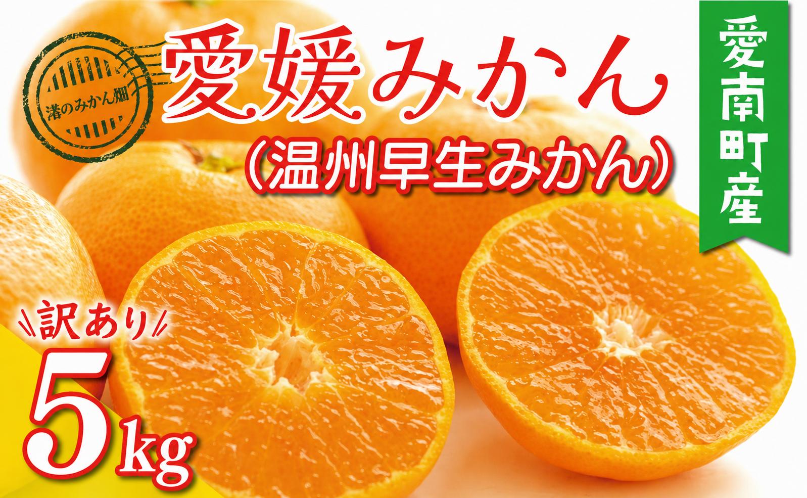 
                  先行予約 訳あり 愛媛みかん （ 温州 早生 みかん ） 5kg 8000円 愛媛 みかん 温州みかん 早生 みかん こたつ みかん mikan 蜜柑 ミカン 家庭用 産地直送  農家直送 糖度 期間限定 数量限定 特産品 ゼリー ジュース アイス 人気 限定 甘い フルーツ 果物 柑橘 先行 事前 予約 受付 ビタミン 美味しい おいしい サイズ ミックス 愛南町 愛媛県 渚のみかん園
                