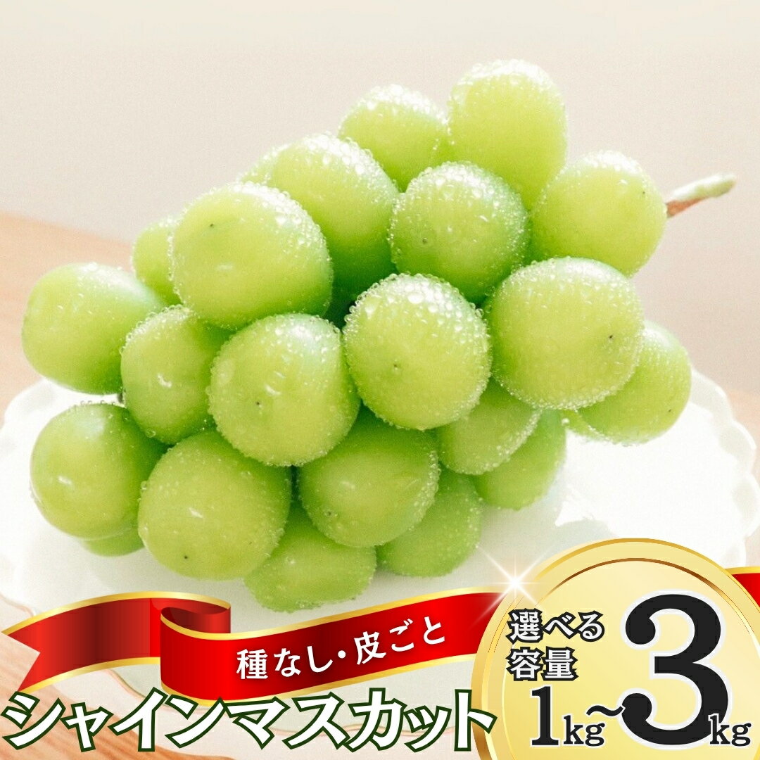 【ふるさと納税】【2025年先行予約】ぶどう シャインマスカット 1kg(2~3房)/約1.5kg(3房)/約2kg(4~5房)/約3kg5~6房)|葡萄 グレープ 果物 フルーツ シャインマスカット 産地直送 種無し 皮ごと食べれる 白ぶどう マスカット 信州 長野 千曲市 送料無料