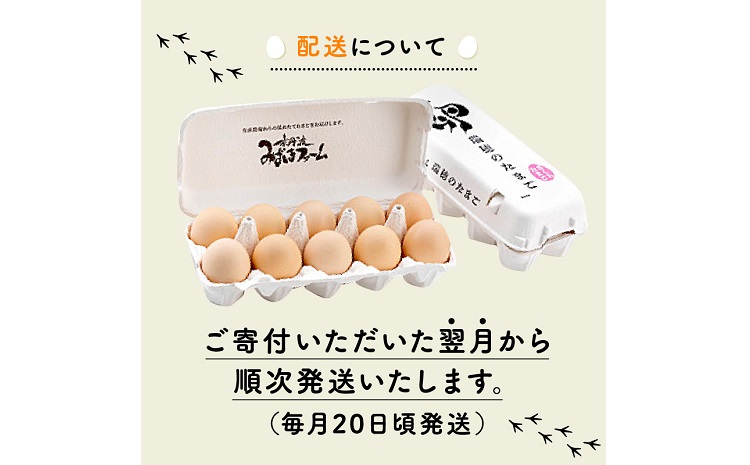 【定期便】 京都 こだわり たまご くろ丹波 30個 × 6ヶ月 定期便 ( 卵 たまご 濃い 玉子 セット 玉子焼き 卵焼き 毎月 6か月 定期 6回 お届け 卵かけご飯 ゆで卵 鶏卵 卵黄 丹波 