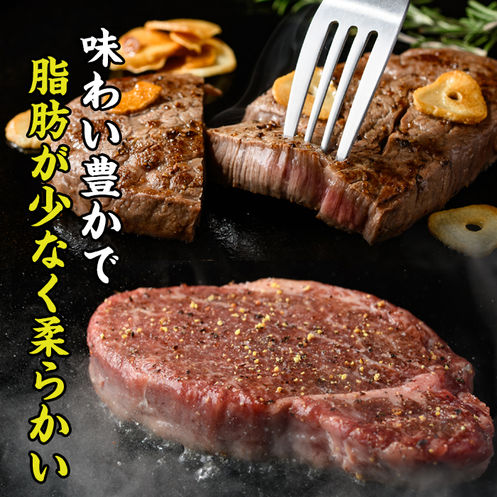 ＜ 冷蔵 真空包装 ＞ おおいた 和牛 ヒレ ステーキ (10枚) 国産 ステーキ 牛肉 豊後牛 ブランド牛 BBQ バーベキュー 肉 焼肉 ヒレ肉 チルド 希少部位 惣菜 大分県 佐伯市【BD316