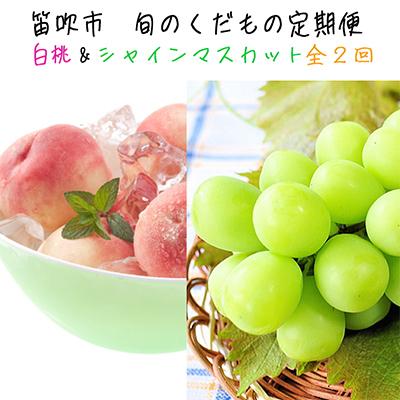 ふるさと納税 笛吹市 【発送月固定定期便】ふえふき旬のフルーツ定期便(桃・シャインマスカット)【S】全2回