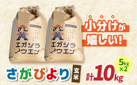 【11月発送】令和7年産 新米 さがびより 玄米 10kg（5kg×2袋）【江頭農園】 [HAU003] 特A げんまい