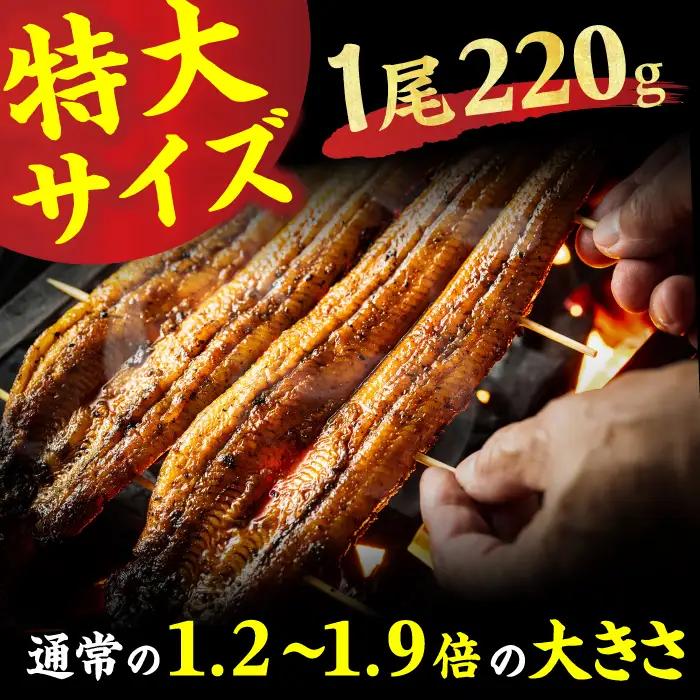 特大うなぎ蒲焼（220g×2尾） / うなぎ ウナギ 鰻 [AFBS005]