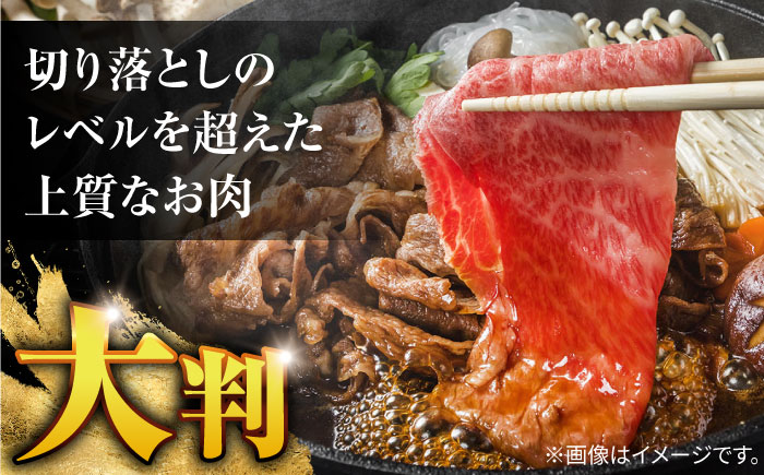 【3回定期便】【訳あり】切り落とし 赤身 モモ バラ 600g / 長崎和牛 A4～A5ランク ワケあり 小間切れ / 諫早市 / 野中精肉店 [AHCW012]