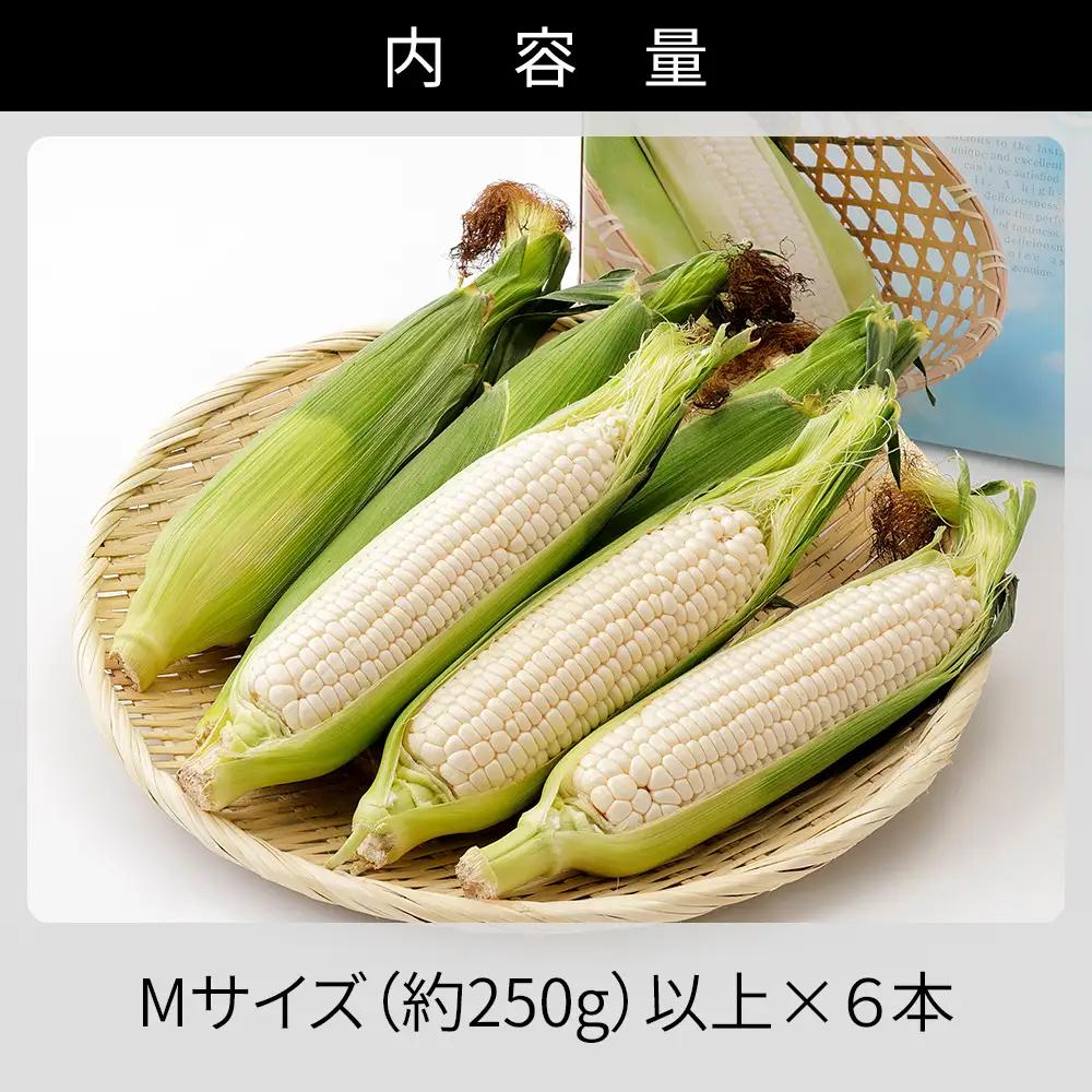 2026年産 北海道産 ホワイトコーン 計6本 北海道 上士幌町 須田農場 野菜 白い スイートコーン とうもろこし トウモロコシ 産地直送 冷蔵便 ◆2026年08月配送予定