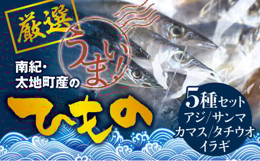 塩崎商店のイチオシ干物 5種セット 創業80年！地元で愛される人気の干物 Jセット （アジ開き×2枚、サンマ開き×2枚、カマス開き×2枚、タチウオみりん干し100g、イラギみりん干し100g) ひもの