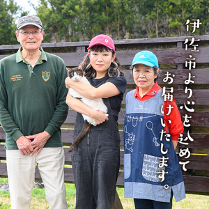 isa553 《数量限定》5種のバラエティージャム食べ比べセット(計12個・ブルーベリー×4、紅甘夏×2、ボンタン×2、サワーポメロ×2、日向夏×2)加工食品 果物 フルーツ 詰め合わせ 果肉 柑橘 