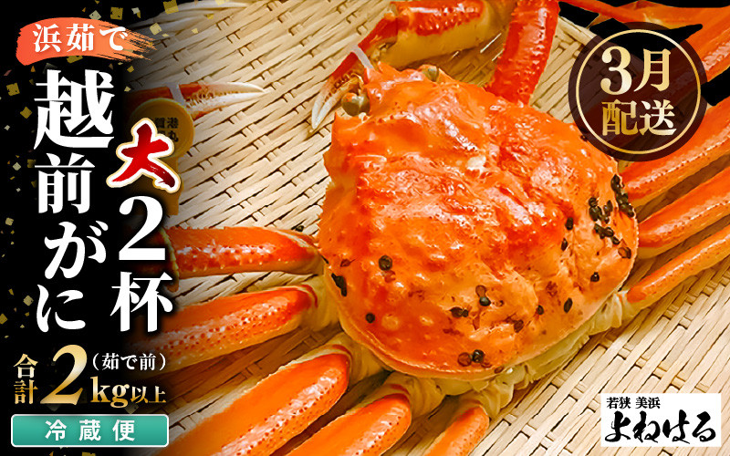 
                  【先行予約】≪浜茹で≫ 天然 越前がに 大サイズ (茹で前約1kg) × 2杯【2026年3月上旬以降順次発送予定】冷蔵便 届いてすぐお召し上がりいただけます！ タグ付 福井を代表する冬の味覚 【越前ガニ  越前蟹 かに ずわい ズワイ 福井】 [m17-x002_03]
                