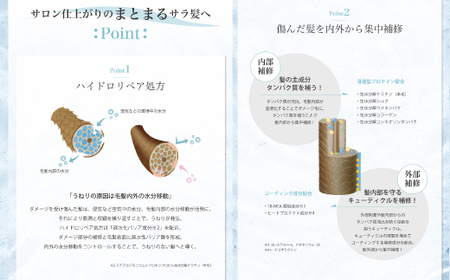 6回 定期便 サロン・ド・オーデ ハイドロリペア シャンプー ＆ トリートメント 各 500ml 2本 セット 合計 12本 ダメージ補修 ボトル 液体 アロインス製薬 美容 美容品 化粧品 日用品 