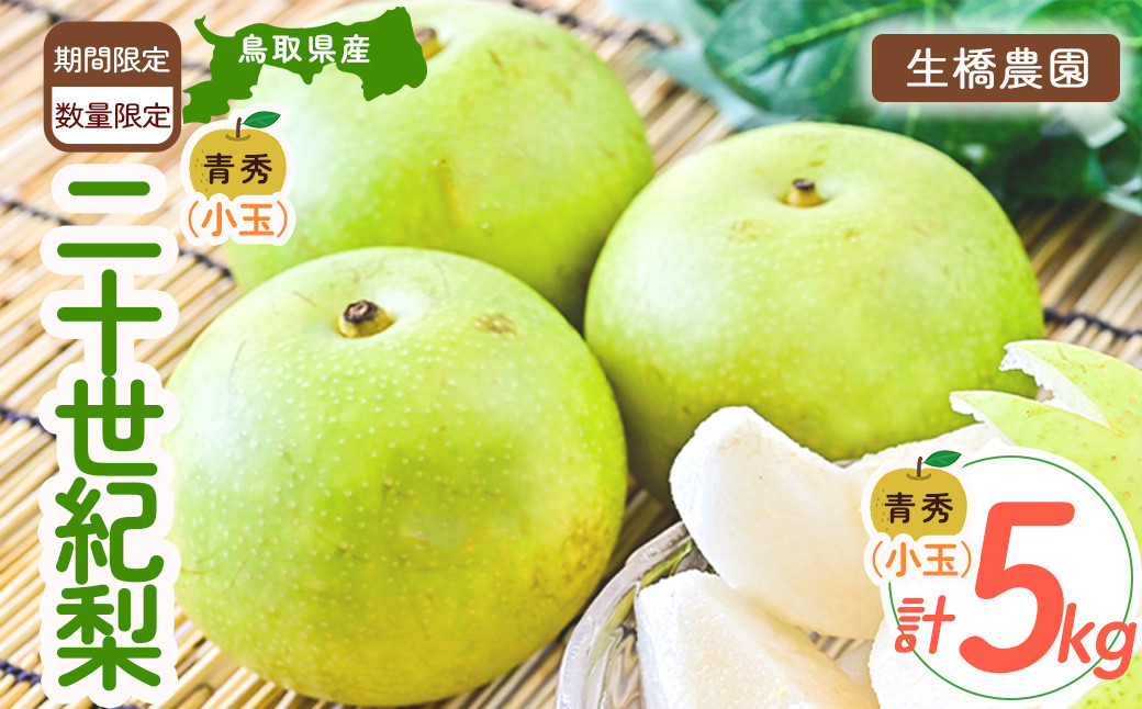 
二十世紀梨 5kg（小玉）【鳥取県産】（生橋農園） 梨 ナシ なし ブランド梨 青秀 梨 鳥取 5kg 果物 フルーツ 和梨 先行予約 数量限定 詰め合わせ 二十世紀梨 20世紀梨
