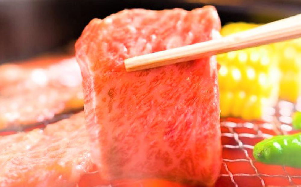 【3か月定期便】艶さし！【A4～A5】佐賀牛焼肉用 500g×3回【肉 牛肉 ブランド牛 黒毛和牛 ふるさと納税】(H112166)