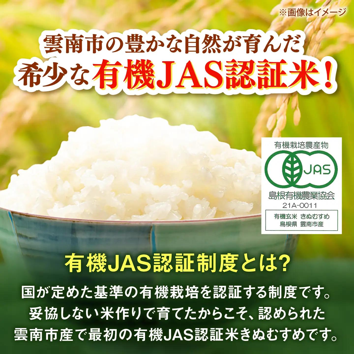 【有機JAS認証】有機栽培米きぬむすめ 10kg 令和7年産 精米 白米 島根県雲南市/佐藤ファーム[AIEO007]