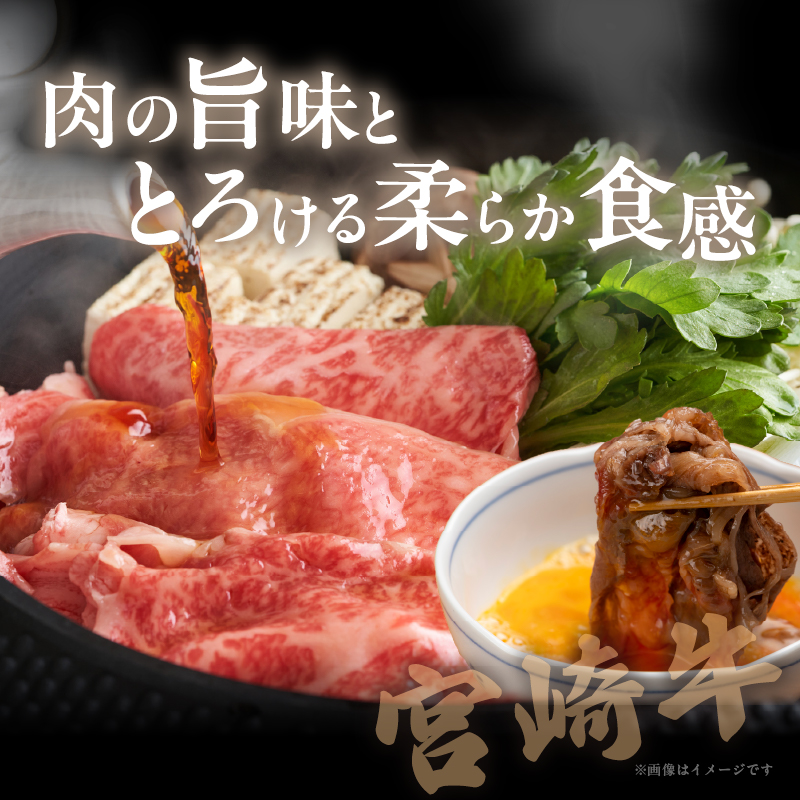 宮崎牛ローススライス(計400g)_T050-005【都農町新着 肉 牛 牛肉 国産 人気 ギフト 食品 おかず お肉 焼肉 BBQ 贈り物 送料無料 プレゼント】