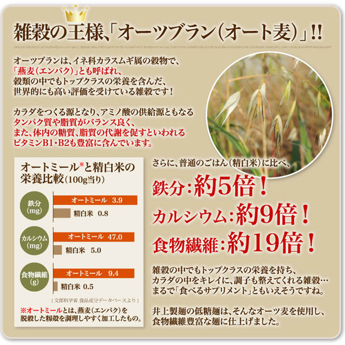低糖麺 12入【九州 佐賀県 名産品 神埼めん 糖質70％OFF 低糖質麺 糖質制限の方 ダイエットにおすすめ】(H057123)