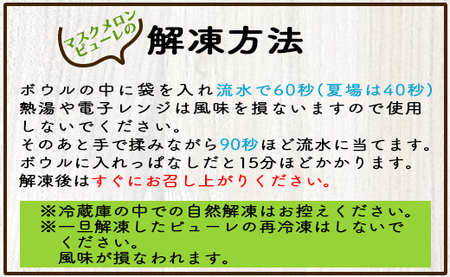 ピューレ メロンピューレ バニラアイスクリーム 3個セット【テレビで紹介 メロン農家が作ったメロンピューレ ピューレ アイスセット 完熟マスクメロン100％】  tn-0028