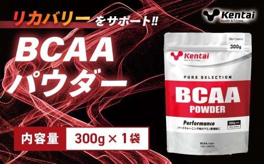 【健康体力研究所】BCAAパウダー（300g×1袋）｜ アミノ酸 補給 カラダ 筋肉 サポート 人工甘味料 香料不使用