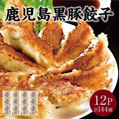 ふるさと納税 南九州市 鹿児島黒豚餃子12P(計144個)