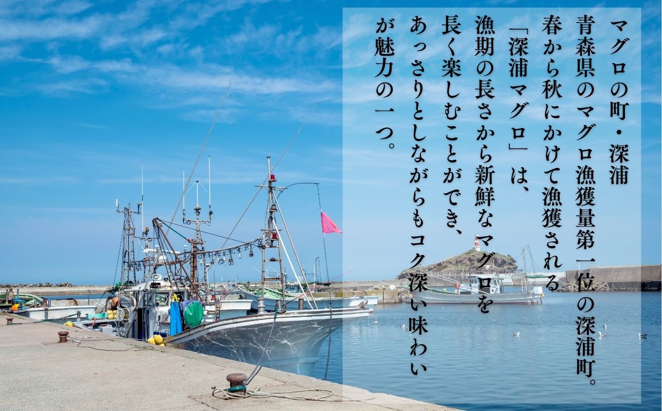 【出荷時期：7月上旬〜】本マグロ 赤身 2柵 中トロ 1柵 セット 国産 本鮪