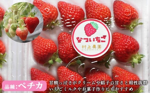 【先行予約：数量限定】北海道羽幌産 なついちご1kg（350g×3）（2026年7月より発送）