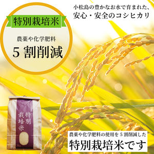 【2025年9月順次発送】令和7年産 新米 白米 コシヒカリ 2kg 特別栽培米 健康 安心 安全 お試し 少量 小分け 四国 徳島 小松島 米 おいしい kome お米 こめ おこめ こしひかり 精
