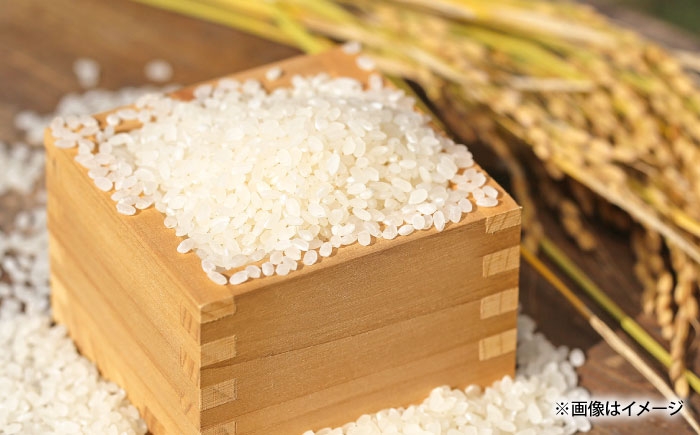 白米 こめ コウノトリやすらぎ米 新米 定期便 ごはん お弁当 国産 おいしい 