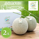 【ふるさと納税】【先行予約】ふらのメロン「陽 ～HARU～」大玉(2.3kg以上)×2玉　(赤肉)　富良野メロン_ メロン めろん 富良野メロン 赤肉 フルーツ くだもの 果物 ふるーつ 青果 北海道 富良野 産直 産地直送 甘い 高糖度 贈答 ギフト 常温 季節限定 人気 【1478650】