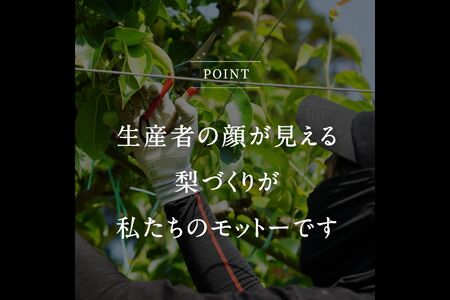 鳥取県南部町産　井田農園の二十世紀梨（3kg箱）8月下旬から随時出荷予定