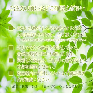 ぶどう 2026年 先行予約 プレミアム シャインマスカット 晴王 2房 合計約1.2kg