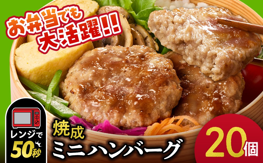 
            ファイヤーバーグ　焼成ミニハンバーグ25g×20枚
          