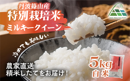 【令和7年産】丹波篠山産特別栽培ミルキークイーン白米5kg BE04 白米 100％単一原料米 産地直送米 おいしい お米 精米 ブランド おこめ 健康 送料無料 おすすめ 人気 口コミ
