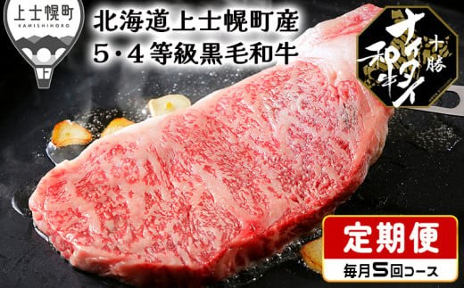 ［105-TN60］北海道　和牛肉　5・4等級　定期便　5回　サーロイン　ミスジ　ステーキ　モモ肉　冷凍ハンバーグ｜十勝ナイタイ和牛定期便　5ヵ月コース　※オンライン申請対応