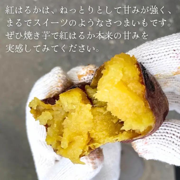 2025年度産 紅はるか 約5kg 【茨城県共通返礼品／行方市】 渋谷農園 さつまいも いも 芋 焼芋 [DT001sa]