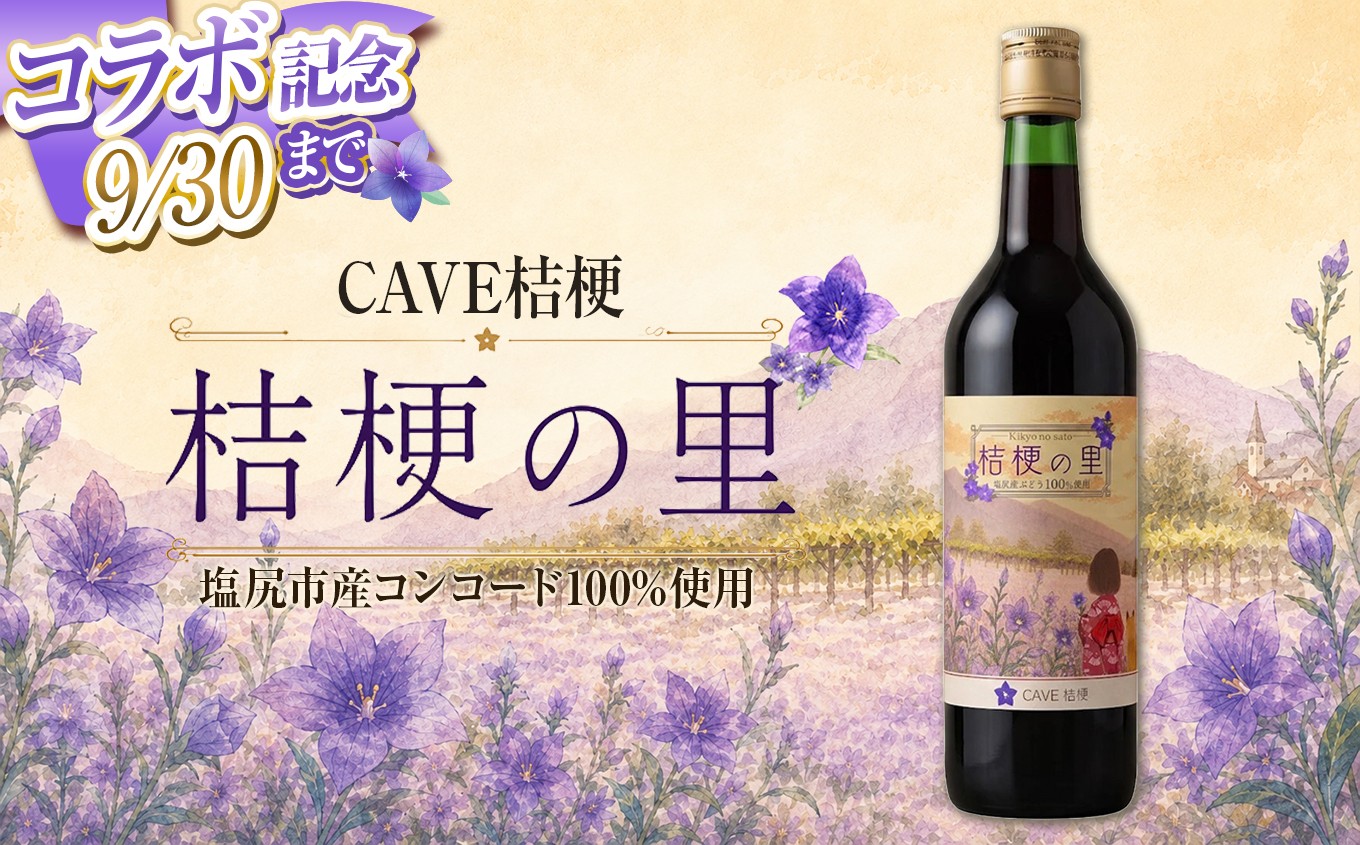 
                  【チョイス限定】コラボ記念★寄附額改定中！！日本大学法学部の学生がラベルを企画・考案♪  ≪CAVE桔梗≫ 桔梗の里  -塩尻特産コンコード100％ワイン- ｜ コンコード ぶどう ワイン 塩尻ワイン 赤 赤ワイン 酒 お酒 アルコール CAVE桔梗 長野県 塩尻市											
                