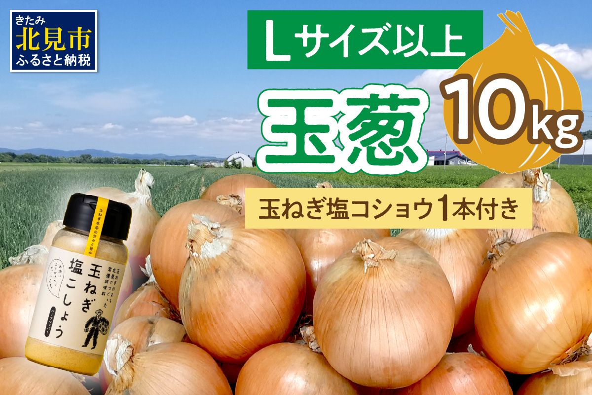 【予約：2026年11月から順次発送】玉葱 10kg Lサイズ以上 玉ねぎ塩こしょう 1本付き ( タマネギ 玉葱 野菜 調味料 塩コショウ )【148-0012-2026】