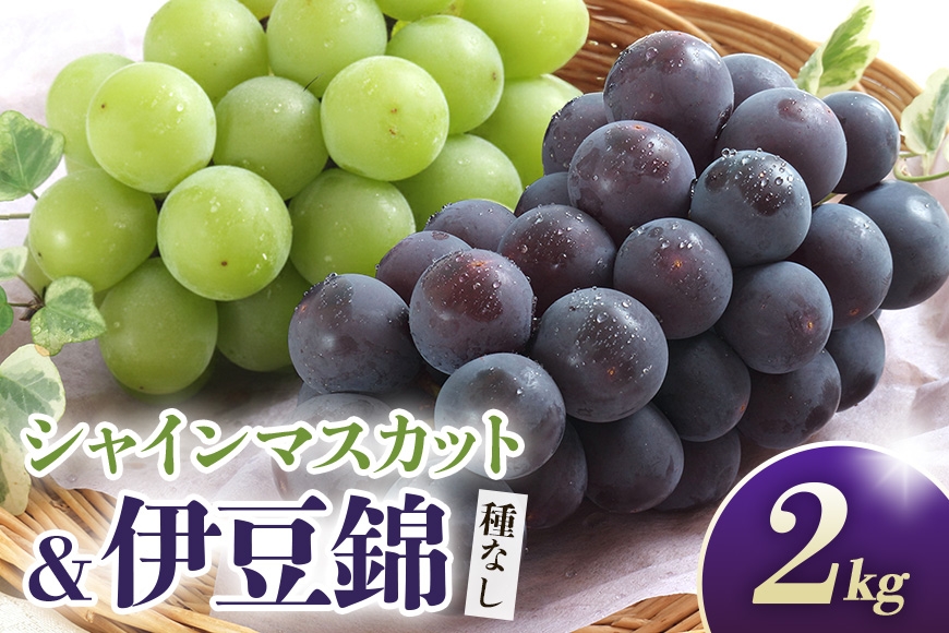 
                  【2026年先行予約】シャインマスカットと伊豆錦（種なし）2kg（シャインマスカット2房、伊豆錦2房） 葡萄 ブドウ フルーツ 果物 くだもの 産地直送 茨城県 石岡市 A02-028
                