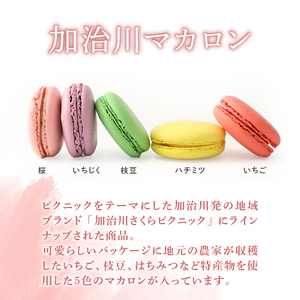 マカロン＆練切り しばたピクニック＆おみやげセット 【 マカロン 練り切り 和菓子 洋菓子 セット sinpo001 】