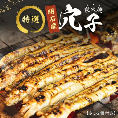 【ふるさと納税】特選明石産炭焼き穴子（タレ2個付き） うなぎ 鰻 魚貝類 加工食品