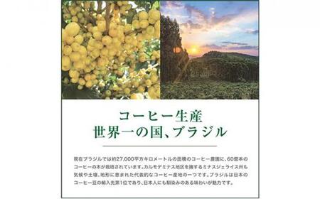 【粉】#901  ブラジル カルモデミナス Qグレード コーヒー豆 310g 当日焙煎 大山珈琲
