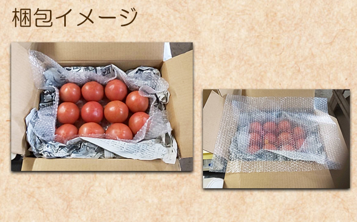 【岩手県産】こだわり大玉トマト 約2kg ／ 【田村和大】 とまと 大玉とまと 新鮮 夏野菜 旬 期間限定 季節限定 野菜 お野菜 八幡平市産 産地直送 農家直送 国産