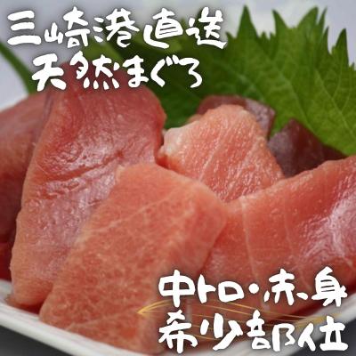 ふるさと納税 三浦市 【三崎港直送】天然マグロお刺身セット(中トロ赤身・希少部位)