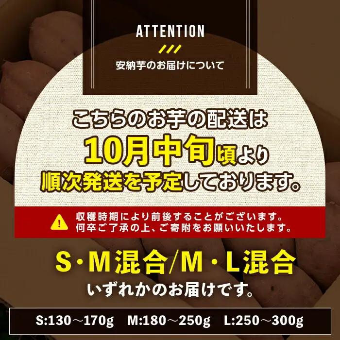 安納芋 さつまいも 10kg【永濱農園】n084