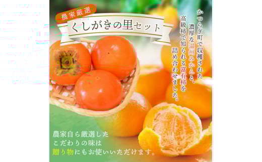 【先行予約】 道の駅くしがきの里セット 富有柿3個・温州みかん約30個の詰め合わせ こだわり農家厳選  【2025年11月中旬頃から2026年1月中旬頃順次発送】/ みかん 温州みかん 柿 富有柿 か