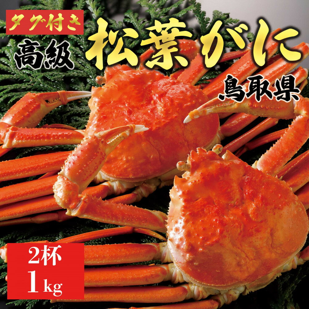 【ふるさと納税】【2025年11月発送】特撰 松葉がに（茹）【ブランドタグ付き】1kg超の大きいサイズ 食べ応えあり 特大2杯