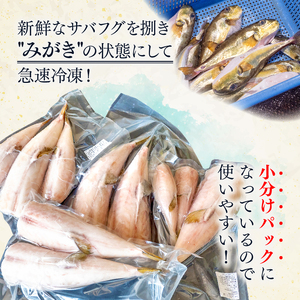 訳あり サバフグ むき身 2kg ( 500g × 4パック ) 鍋 唐揚げ 塩 焼き 小分け 魚 さかな 魚介 海鮮 新鮮 海の幸 フグ グリル 冷凍 愛知県 南知多町 人気 おすすめ 【離島不可】